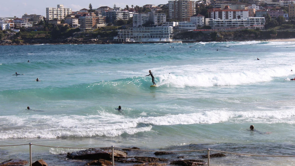 The Story of Honu’s Re-Launch: A backpacker, a mission and Bondi Beach