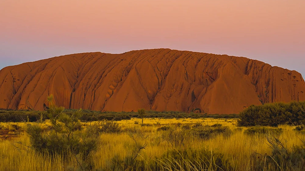 We support the Seed Indigenous Youth Climate Network