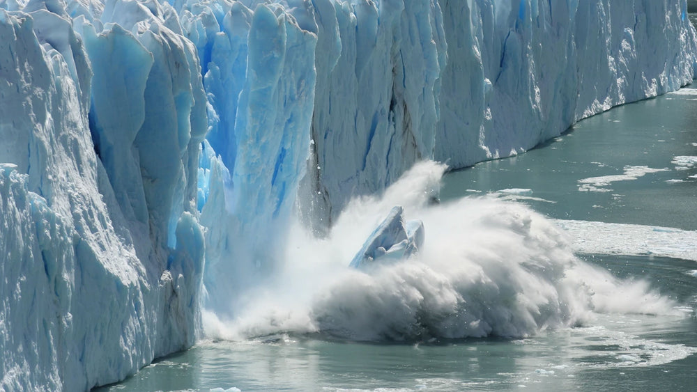 The Impact of Climate Change on Surf, Paddle-Boarding & Our Marine Environment